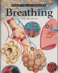 Image of UNDER THE MICROSCOPE BREATHING HOW WE USE AIR 5